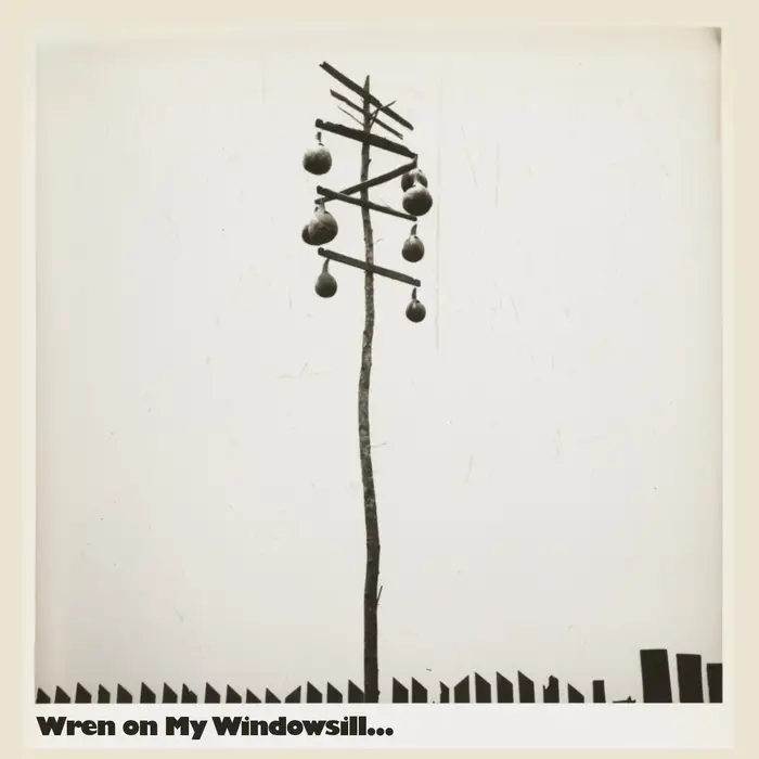 Nolle Bond - Wren on My Windowsill